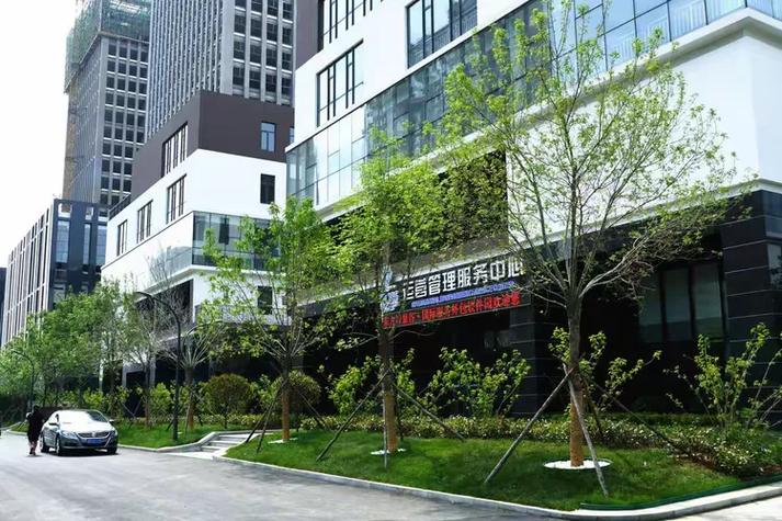 国际服务外包软件园诚聘精英